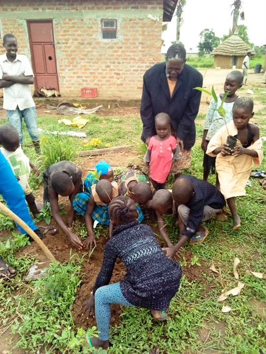 Planting Trees